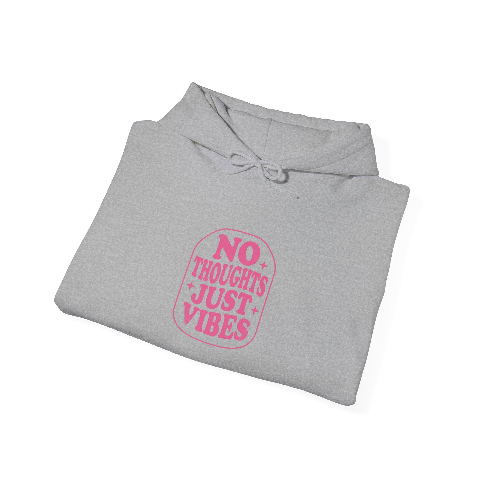 No Thoughts Just Vibes Hoodie | Y2K Slogan Retro Typography
